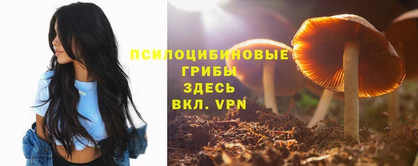 мдпв Медвежьегорск