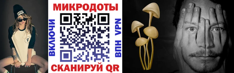 Псилоцибиновые грибы GOLDEN TEACHER  Нижняя Тура 