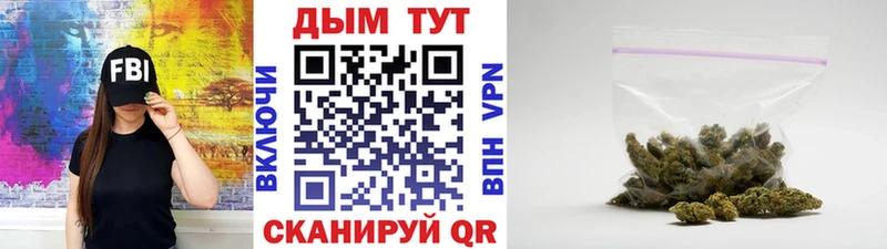 купить наркотик Нижняя Тура Конопля OG Kush